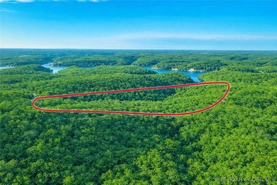 Nearly 50 acres of stunning Ozark beauty-this is your - photo 10