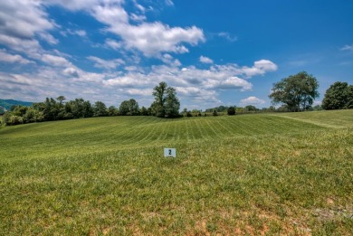South Holston Lake Lot For Sale in Abingdon Virginia