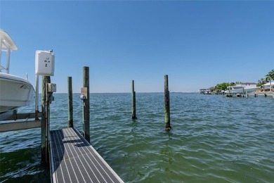 South Tampa/Beach Park open bay condo. Everyday is Saturday on - photo 22