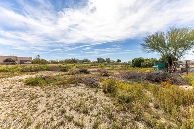 Spacious custom home with dual primary suites and full private - photo 41