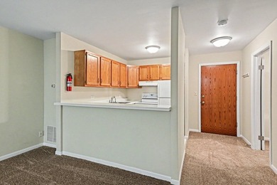 Welcome to Four Lakes! This well-maintained Birch model studio - photo 6