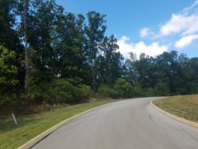 Gated Cherokee Lake Living with Mountain Views - photo 10