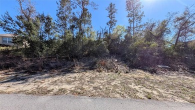 Under contract-accepting backup offers. Build your dream home in - photo 1