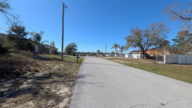 Under contract-accepting backup offers. Build your dream home in - photo 4
