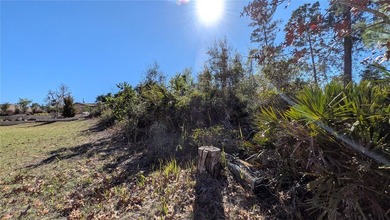 Under contract-accepting backup offers. Build your dream home in - photo 5