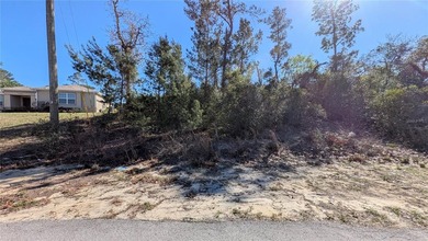 Under contract-accepting backup offers. Build your dream home in - photo 8