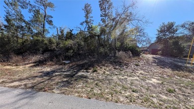 Under contract-accepting backup offers. Build your dream home in - photo 10