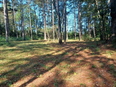Lake Lot For Sale in Lake Hillsdale, Mississippi