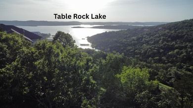 Discover the epitome of lakeside living in this stunning cleared - photo 5