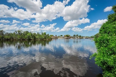 Total  of 1.4675 acres, 2 parcels of land. Owner will not sell - photo 25