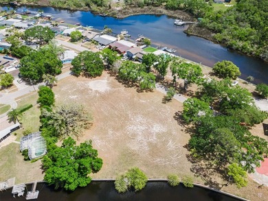 Total  of 1.4675 acres, 2 parcels of land. Owner will not sell - photo 29