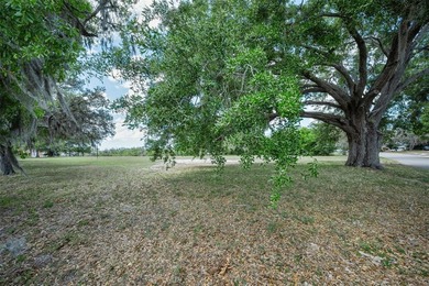 Total  of 1.4675 acres, 2 parcels of land. Owner will not sell - photo 31