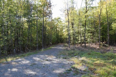 Embden Pond Lot For Sale in Embden Maine