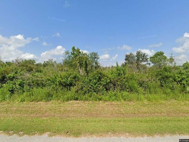 Rare 12.33+- Acre Opportunity in Punta Gorda Acres Now offered - photo 1