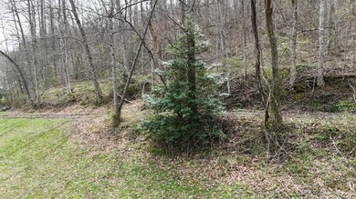 Discover 58+/- acres of untouched beauty in Johnson County - photo 11