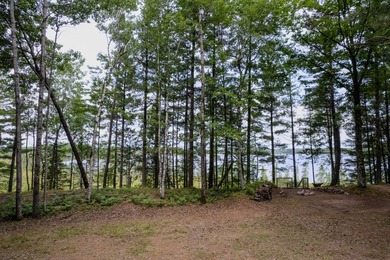 Wonderful lakefront privacy on 145 AC DEER LAKE, featuring the - photo 11