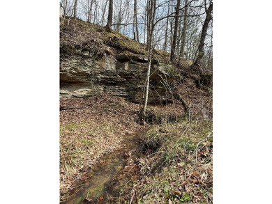 Discover 58+/- acres of untouched beauty in Johnson County - photo 12