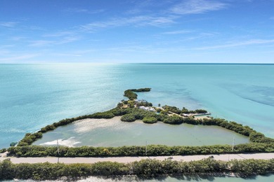 Rare, private island with white, sandy beach in the Florida Keys - photo 12