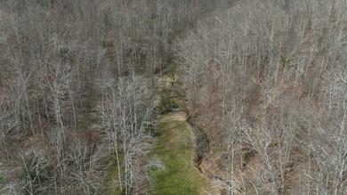 Discover 58+/- acres of untouched beauty in Johnson County - photo 13