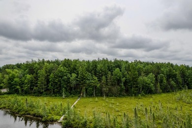 Wonderful lakefront privacy on 145 AC DEER LAKE, featuring the - photo 13