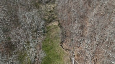 Discover 58+/- acres of untouched beauty in Johnson County - photo 14