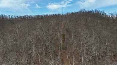 Discover 58+/- acres of untouched beauty in Johnson County - photo 15