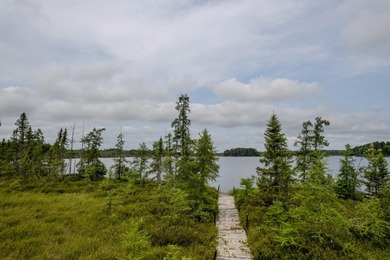 Wonderful lakefront privacy on 145 AC DEER LAKE, featuring the - photo 15
