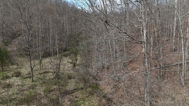 Discover 58+/- acres of untouched beauty in Johnson County - photo 17