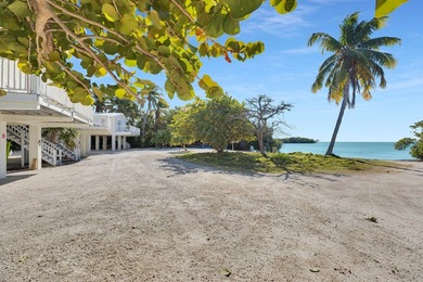 Rare, private island with white, sandy beach in the Florida Keys - photo 17