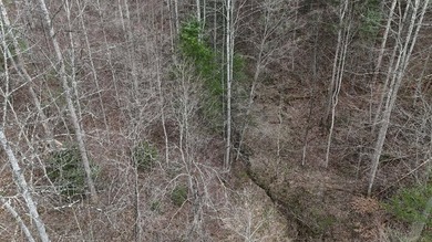 Discover 58+/- acres of untouched beauty in Johnson County - photo 18