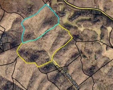 Discover 58+/- acres of untouched beauty in Johnson County - photo 19