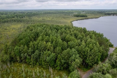 Wonderful lakefront privacy on 145 AC DEER LAKE, featuring the - photo 20