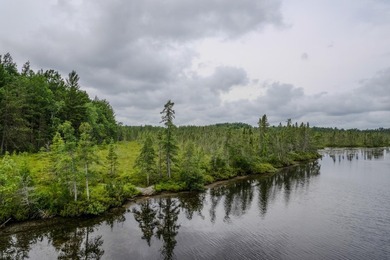Wonderful lakefront privacy on 145 AC DEER LAKE, featuring the - photo 21