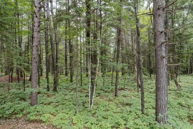Wonderful lakefront privacy on 145 AC DEER LAKE, featuring the - photo 22