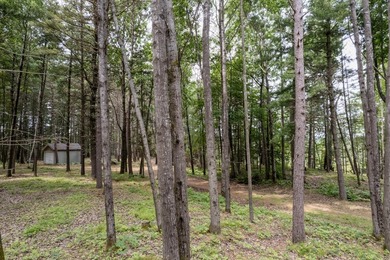 Wonderful lakefront privacy on 145 AC DEER LAKE, featuring the - photo 23