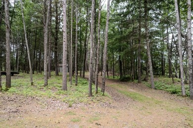 Wonderful lakefront privacy on 145 AC DEER LAKE, featuring the - photo 28