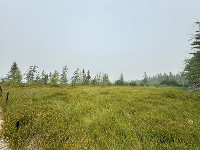 Wonderful lakefront privacy on 145 AC DEER LAKE, featuring the - photo 33