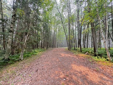 Wonderful lakefront privacy on 145 AC DEER LAKE, featuring the - photo 35