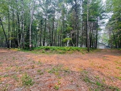 Wonderful lakefront privacy on 145 AC DEER LAKE, featuring the - photo 37
