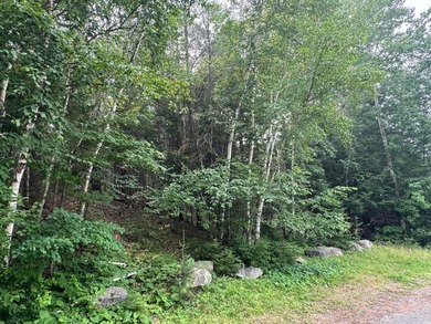 Wonderful lakefront privacy on 145 AC DEER LAKE, featuring the - photo 39