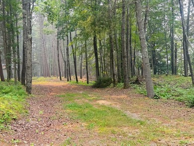 Wonderful lakefront privacy on 145 AC DEER LAKE, featuring the - photo 40