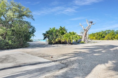 Rare, private island with white, sandy beach in the Florida Keys - photo 42