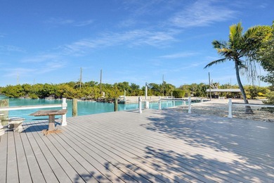 Rare, private island with white, sandy beach in the Florida Keys - photo 45
