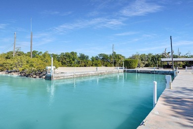 Rare, private island with white, sandy beach in the Florida Keys - photo 46