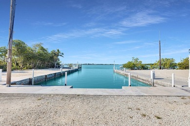 Rare, private island with white, sandy beach in the Florida Keys - photo 47
