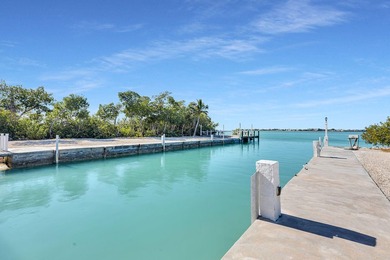Rare, private island with white, sandy beach in the Florida Keys - photo 48