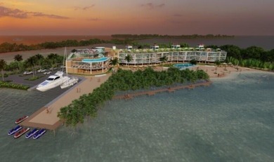 Rare, private island with white, sandy beach in the Florida Keys - photo 58