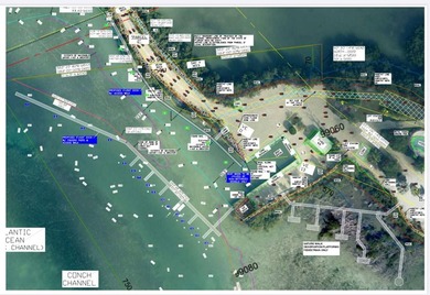 Rare, private island with white, sandy beach in the Florida Keys - photo 60