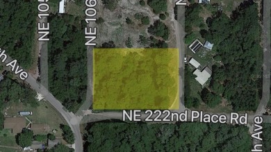 Lake Lot For Sale in Fort Mccoy, Florida