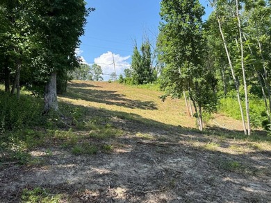 Don't miss this beautiful 0.69+/- acre lakeview lot overlooking - photo 8